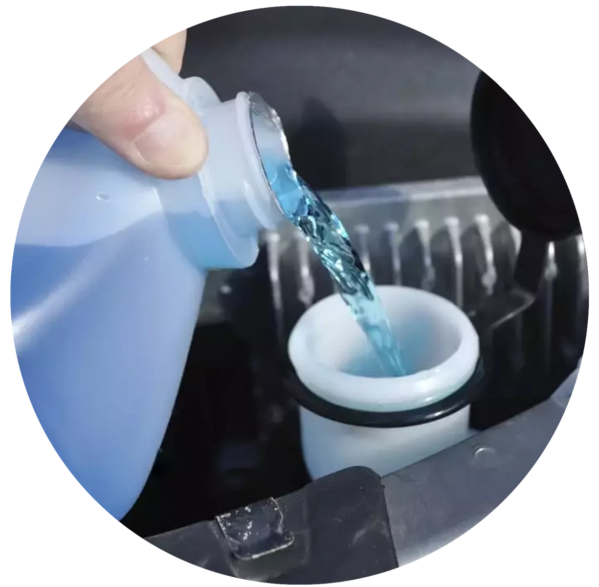  2022/09/Washer-Fluid.png 