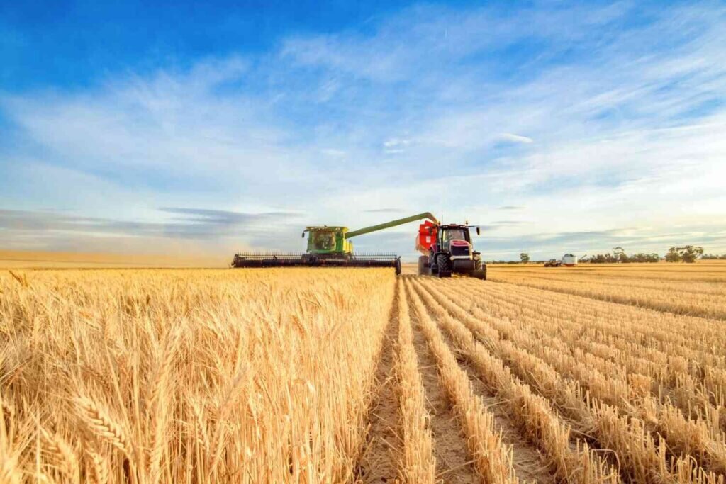 A combine harvester and red tractor work together in a Montana wheat field, showcasing fuel-intensive agricultural operations during harvest season.